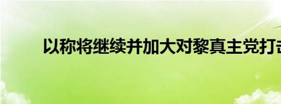 以称将继续并加大对黎真主党打击
