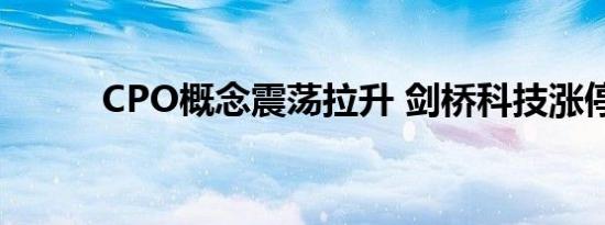 CPO概念震荡拉升 剑桥科技涨停