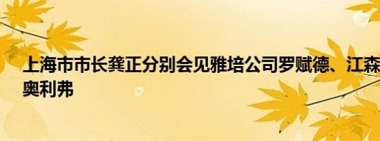 上海市市长龚正分别会见雅培公司罗赋德、江森自控乔治·奥利弗