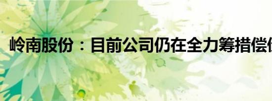 岭南股份：目前公司仍在全力筹措偿债资金