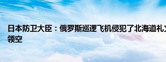 日本防卫大臣：俄罗斯巡逻飞机侵犯了北海道礼文岛上空的领空