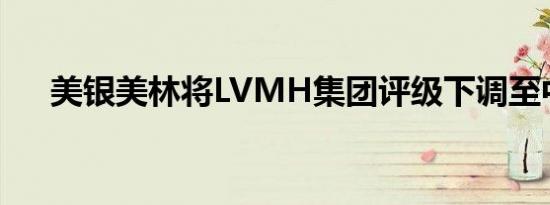 美银美林将LVMH集团评级下调至中性