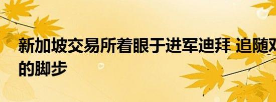 新加坡交易所着眼于进军迪拜 追随对冲基金的脚步