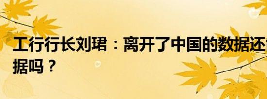 工行行长刘珺：离开了中国的数据还能叫大数据吗？