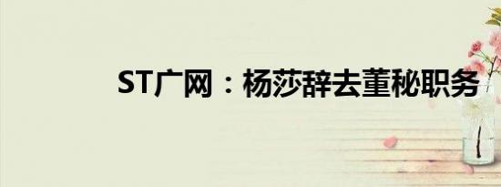 ST广网：杨莎辞去董秘职务