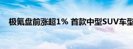 极氪盘前涨超1% 首款中型SUV车型上市