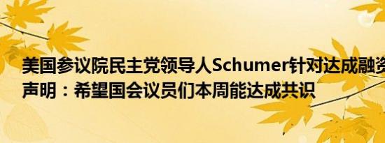 美国参议院民主党领导人Schumer针对达成融资草案发布声明：希望国会议员们本周能达成共识