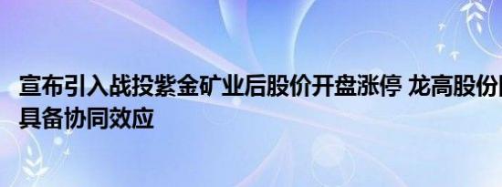 宣布引入战投紫金矿业后股价开盘涨停 龙高股份回应：业务具备协同效应
