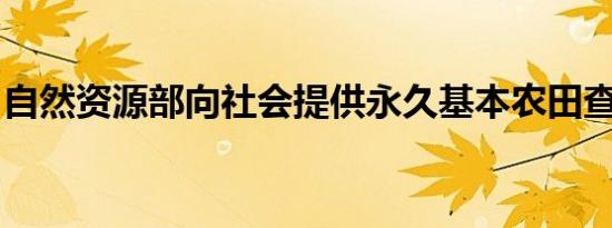 自然资源部向社会提供永久基本农田查询服务