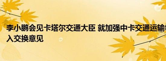 李小鹏会见卡塔尔交通大臣 就加强中卡交通运输领域合作深入交换意见