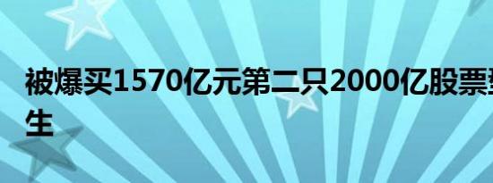 被爆买1570亿元第二只2000亿股票型基金诞生