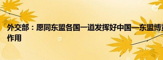 外交部：愿同东盟各国一道发挥好中国—东盟博览会的平台作用