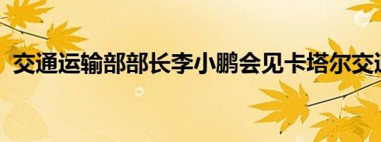 交通运输部部长李小鹏会见卡塔尔交通大臣