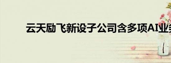 云天励飞新设子公司含多项AI业务