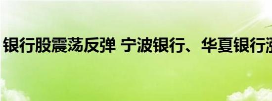 银行股震荡反弹 宁波银行、华夏银行涨超4%