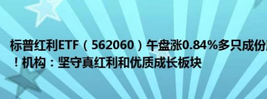 标普红利ETF（562060）午盘涨0.84%多只成份股强劲上涨！机构：坚守真红利和优质成长板块