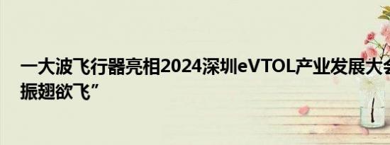 一大波飞行器亮相2024深圳eVTOL产业发展大会低经济“振翅欲飞”
