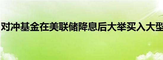 对冲基金在美联储降息后大举买入大型科技股