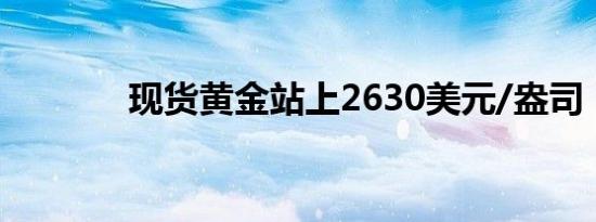 现货黄金站上2630美元/盎司