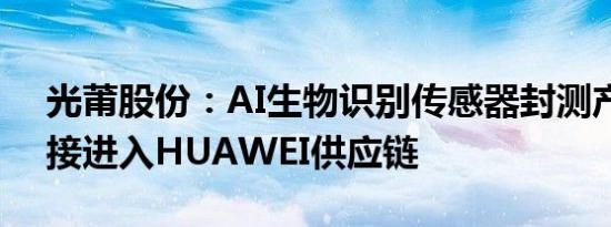光莆股份：AI生物识别传感器封测产品有间接进入HUAWEI供应链
