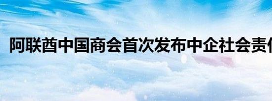 阿联酋中国商会首次发布中企社会责任报告