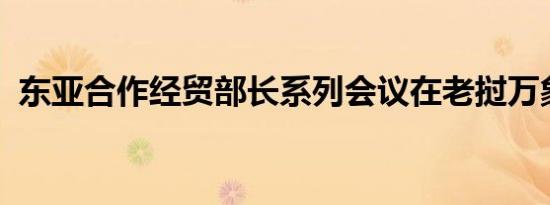 东亚合作经贸部长系列会议在老挝万象召开