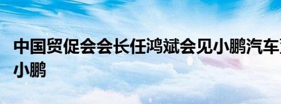 中国贸促会会长任鸿斌会见小鹏汽车董事长何小鹏