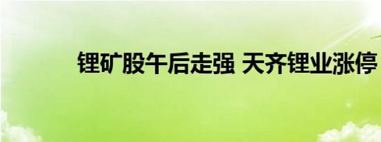 锂矿股午后走强 天齐锂业涨停