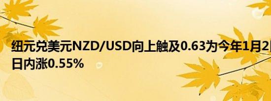 纽元兑美元NZD/USD向上触及0.63为今年1月2日以来首次日内涨0.55%