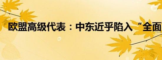 欧盟高级代表：中东近乎陷入“全面战争”
