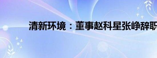 清新环境：董事赵科星张峥辞职