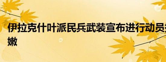 伊拉克什叶派民兵武装宣布进行动员援助黎巴嫩