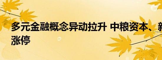多元金融概念异动拉升 中粮资本、新力金融涨停
