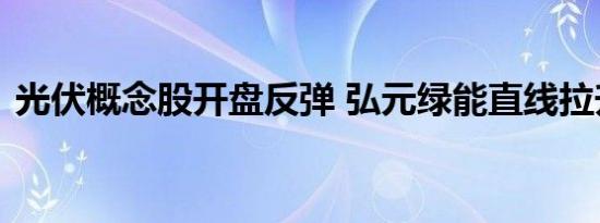 光伏概念股开盘反弹 弘元绿能直线拉升涨停