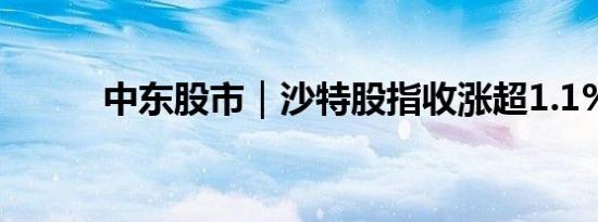 中东股市｜沙特股指收涨超1.1%