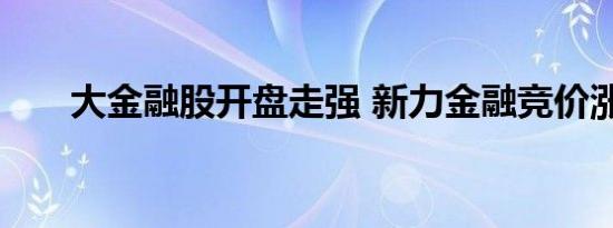 大金融股开盘走强 新力金融竞价涨停