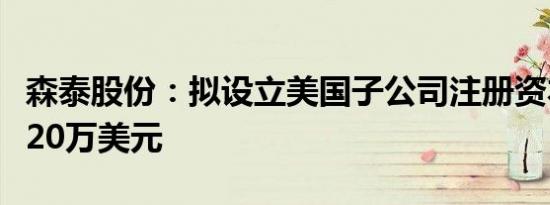 森泰股份：拟设立美国子公司注册资本不超过20万美元