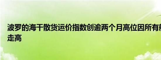 波罗的海干散货运价指数创逾两个月高位因所有船型运价均走高