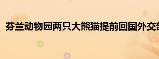 芬兰动物园两只大熊猫提前回国外交部回应