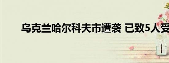 乌克兰哈尔科夫市遭袭 已致5人受伤