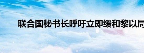联合国秘书长呼吁立即缓和黎以局势