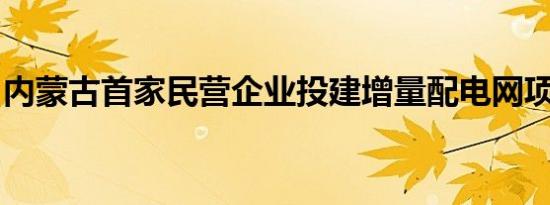 内蒙古首家民营企业投建增量配电网项目投运