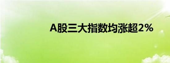 A股三大指数均涨超2%