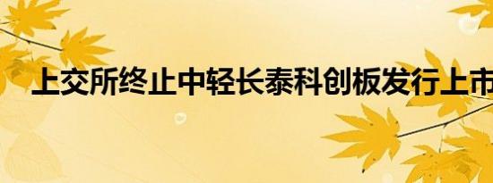 上交所终止中轻长泰科创板发行上市审核