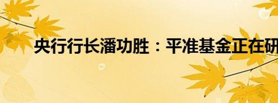 央行行长潘功胜：平准基金正在研究