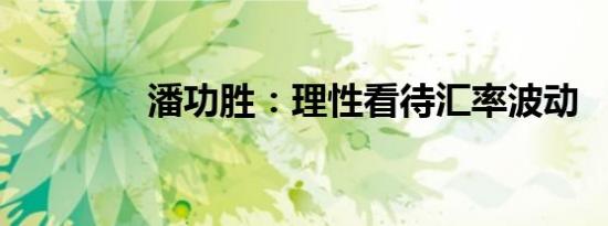 潘功胜：理性看待汇率波动
