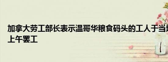 加拿大劳工部长表示温哥华粮食码头的工人于当地时间周二上午罢工