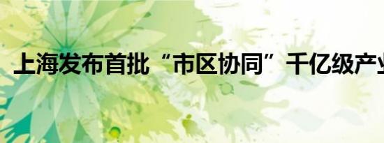 上海发布首批“市区协同”千亿级产业集群
