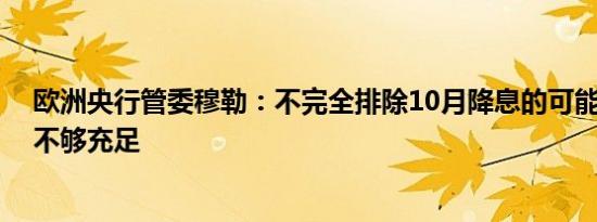 欧洲央行管委穆勒：不完全排除10月降息的可能性 但数据不够充足