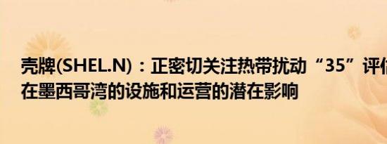 壳牌(SHEL.N)：正密切关注热带扰动“35”评估其对公司在墨西哥湾的设施和运营的潜在影响